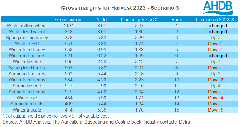Table showing gross margins for harvest 2023 - Scenario 3